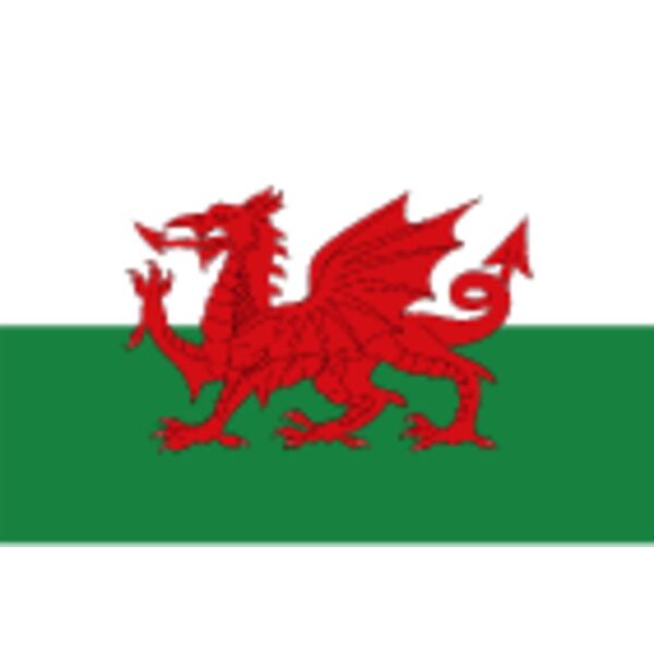 caersws wales flag dtf Thumbnail