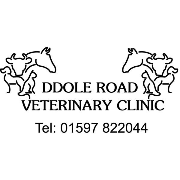 DDOLE ROAD DTF Thumbnail