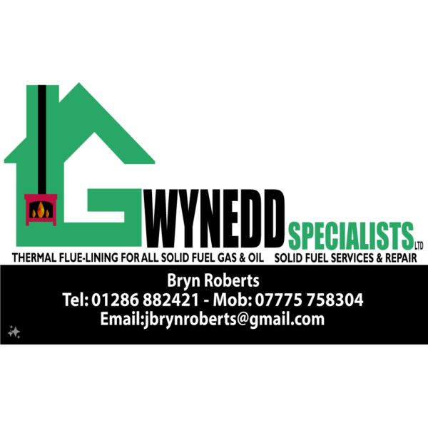 gwynedd safeflue on red dtf Thumbnail