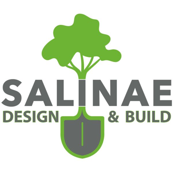 salinae dtf Thumbnail