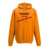 College hoodie Thumbnail