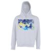 Street hoodie Thumbnail