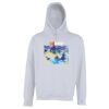 Street hoodie Thumbnail