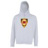 Street hoodie Thumbnail