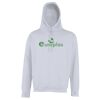 Street hoodie Thumbnail