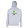 Street hoodie Thumbnail