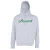 Street hoodie Thumbnail