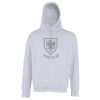 Street hoodie Thumbnail