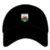 Portwest bump cap (PW59) Thumbnail