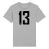 Rocker the essential unisex t-shirt (STTU758) Thumbnail