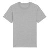Rocker the essential unisex t-shirt (STTU758) Thumbnail